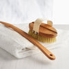 Body Brush